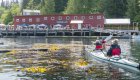 Colorful kayaks lined up for a Quadra Island kayaking tour, a popular one day kayaking trip in Canada.