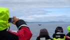 whale watching in quebec, canada