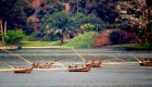 Boats in Rwanda