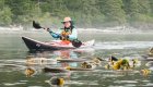 woman sea kayaking through bull kelp