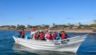 whale watching guests on tour in baja