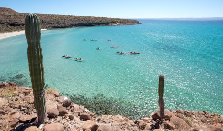 A group of sea kayakers in the Sea of Cortez among sandstone cliffs and cacti