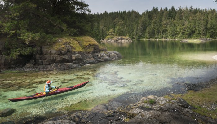 Woman in a single red sea kayak paddling through Johnstone Strait in British Columbia