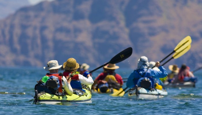 sea kayakers from behind in blue ocean