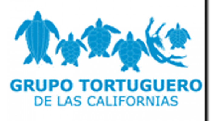 Grupo Tortuguero