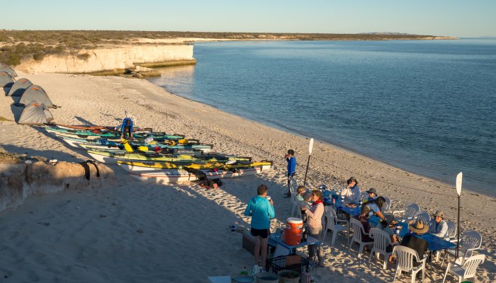 People sitting around of table next to a line of sea kayaks and tents on a sunny evening