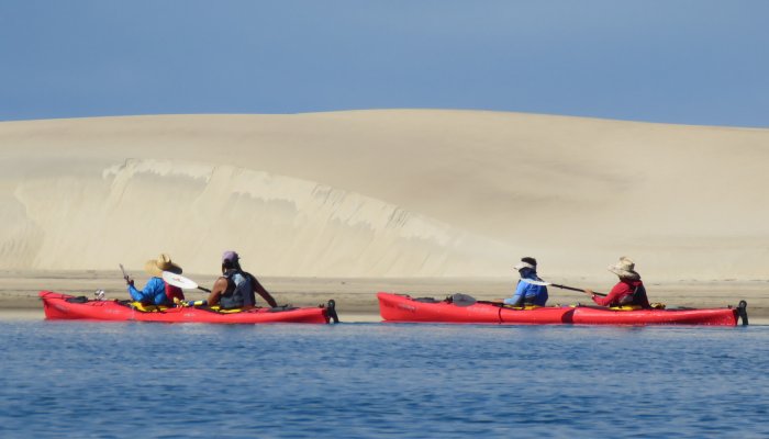 red kayaks in ocean in front of sand dune