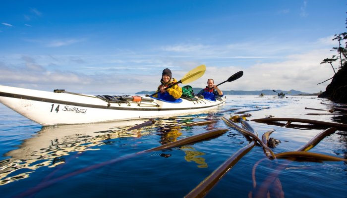 sea kayakers in johnstone strait of vancouver islands inside passage