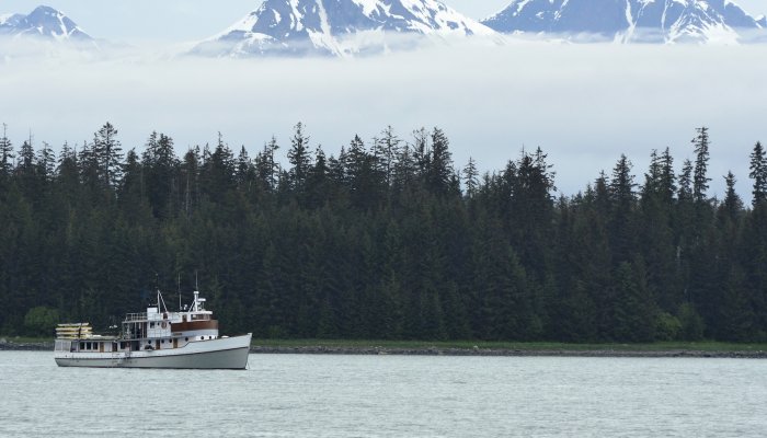 Sea Wolf ship on the water in front of trees and snowy mountains on a foggy day