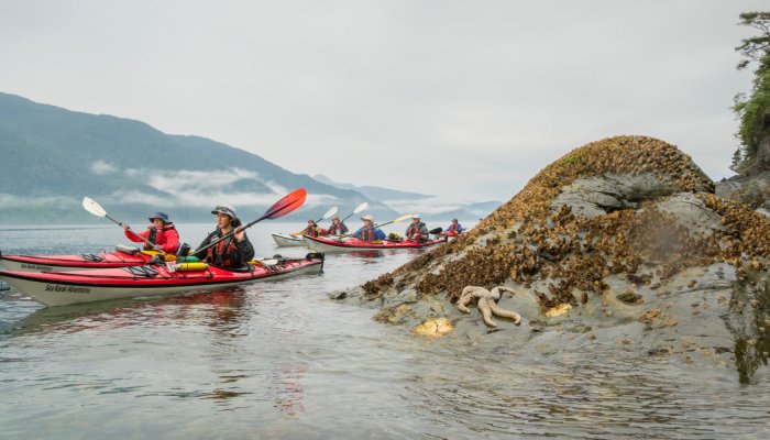sea kayakers in the broughton archipelago in British Columbia