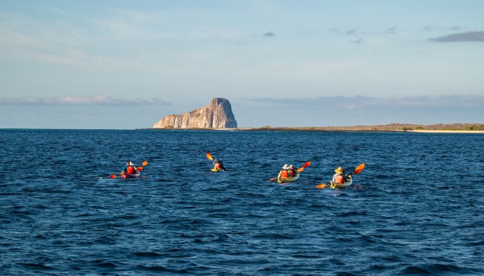 A group of sea kayakers paddling near the shore in the Galapagos with a large rock formation in the distance